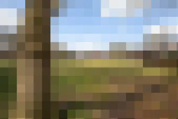 Beilerstraat 27 Westerbork thumbnail 46