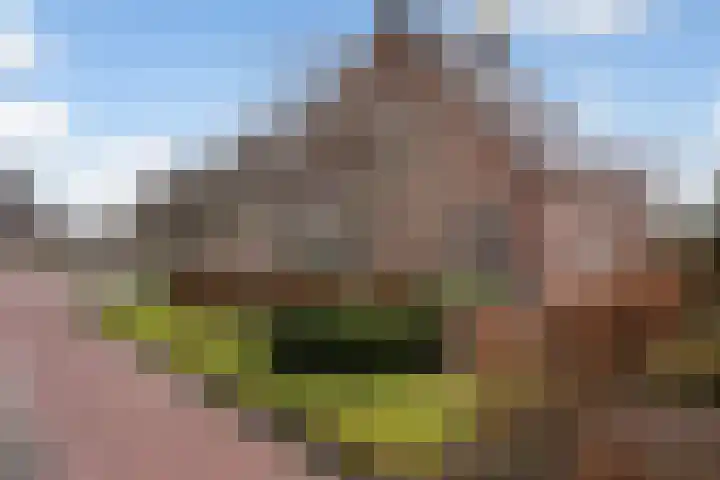 Beilerstraat 27 Westerbork thumbnail 51
