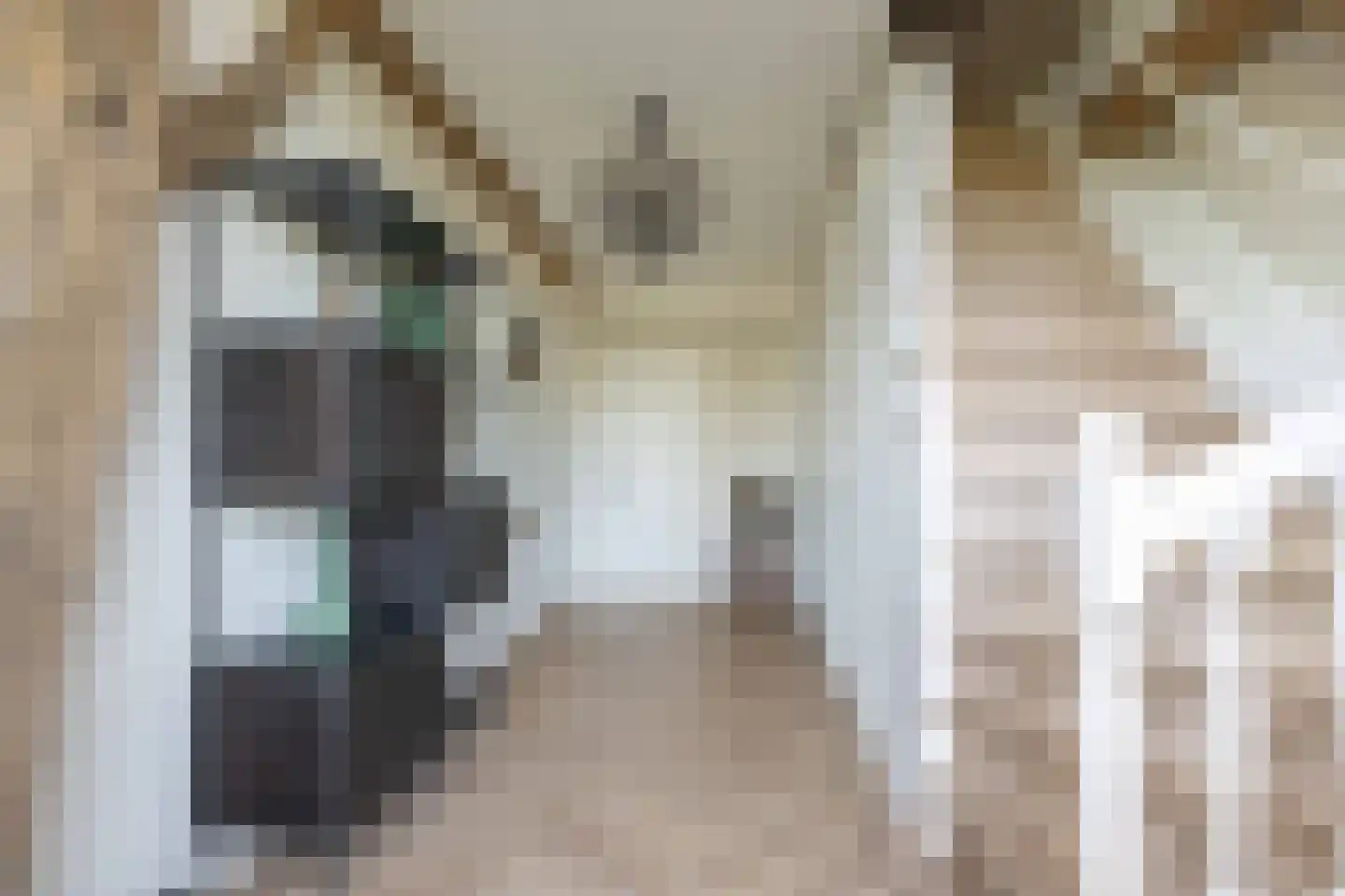 Beilerstraat 6 a Pesse thumbnail 10