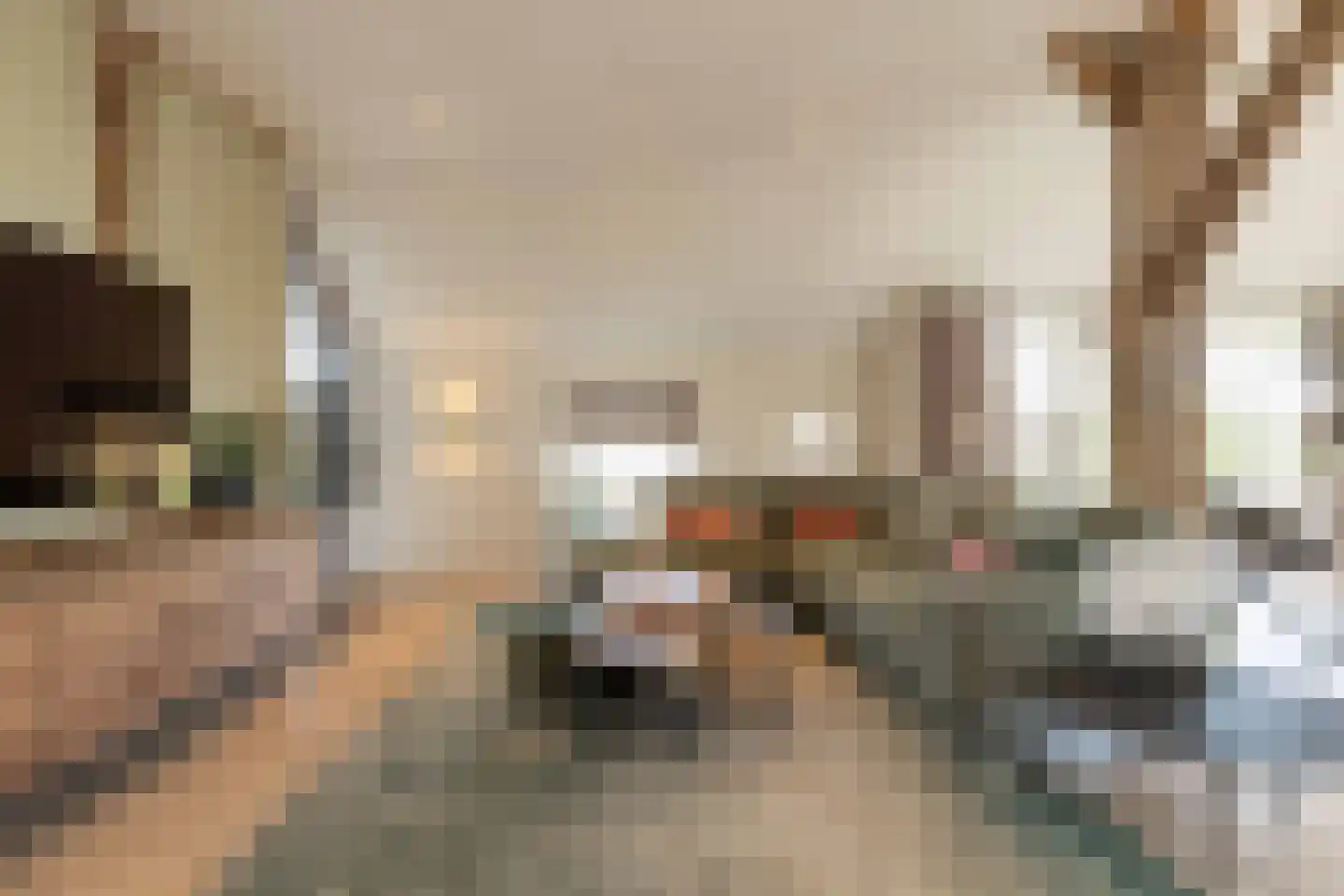 Beilerstraat 6 a Pesse thumbnail 12
