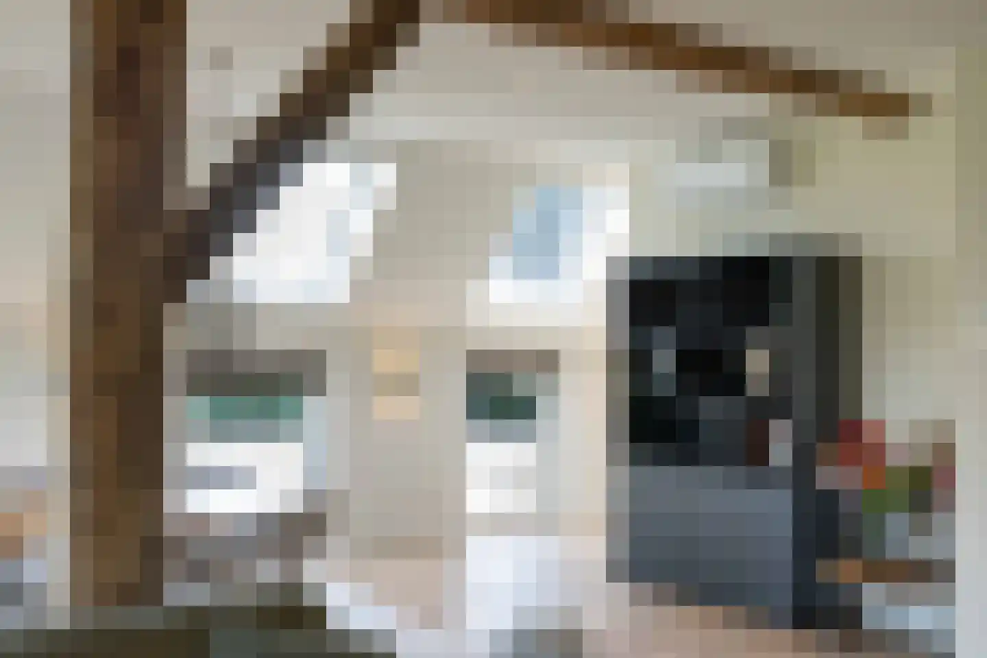 Beilerstraat 6 a Pesse thumbnail 14