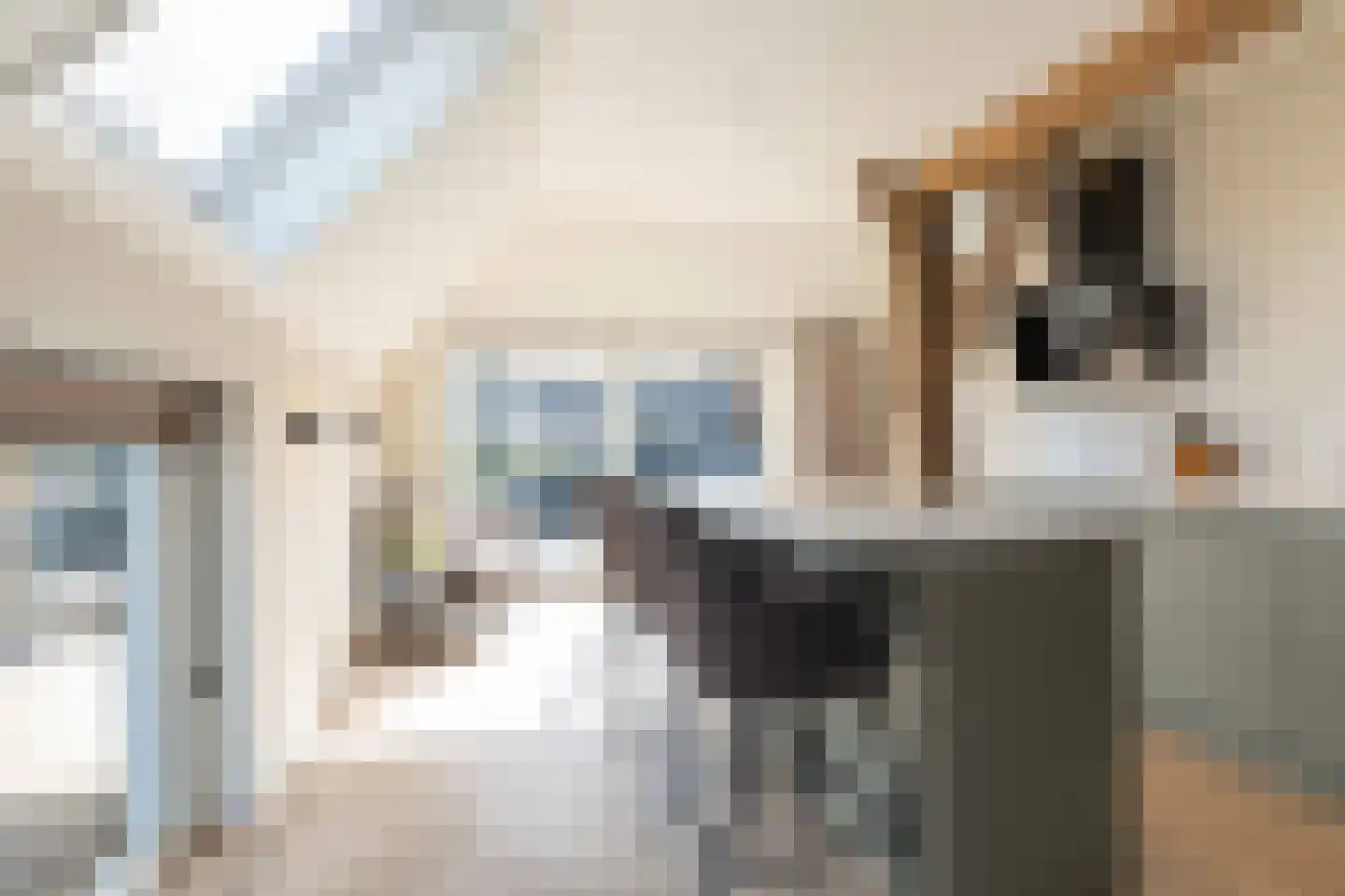 Beilerstraat 6 a Pesse thumbnail 19