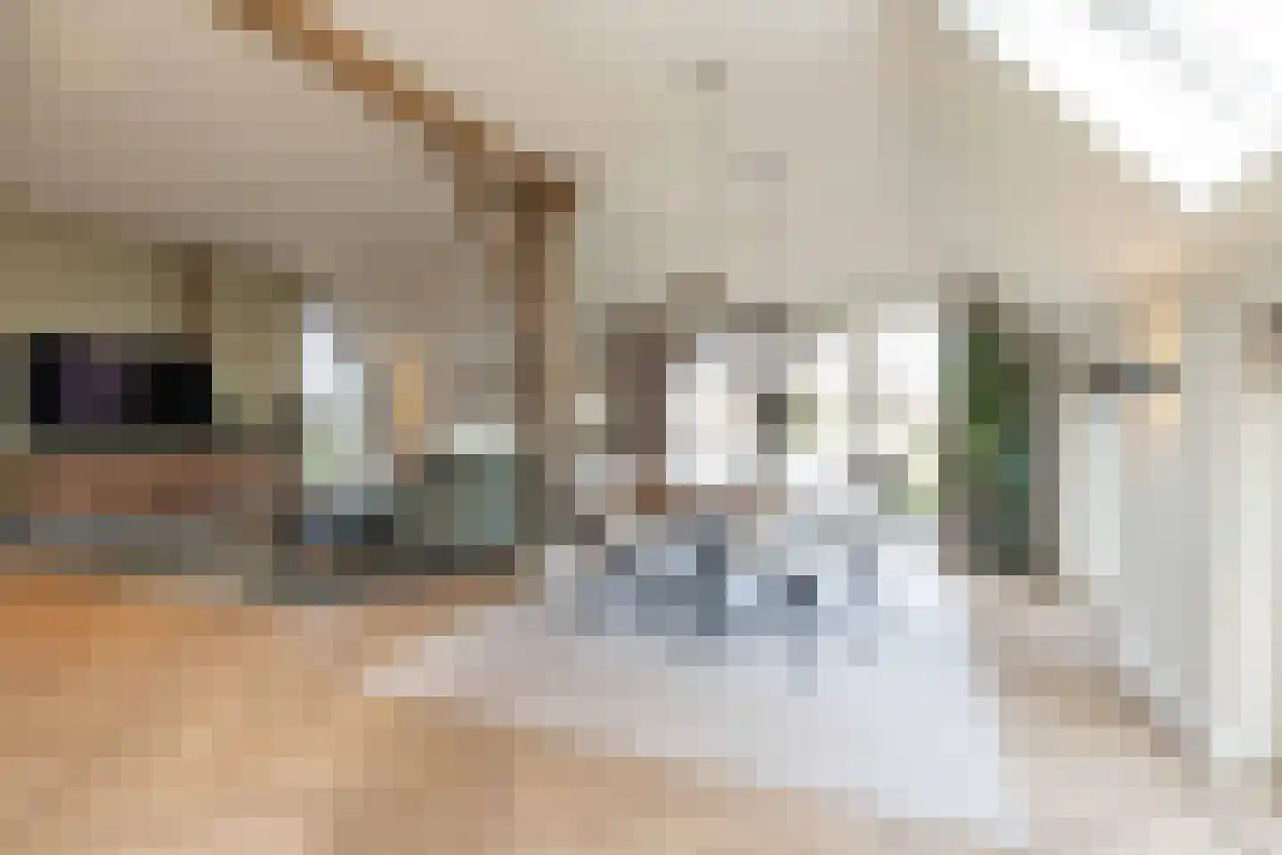 Beilerstraat 6 a Pesse thumbnail 4