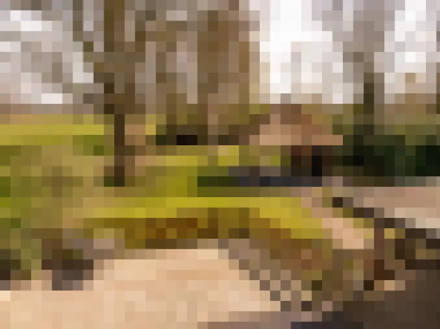 Beilerstraat 6 a Pesse thumbnail 48