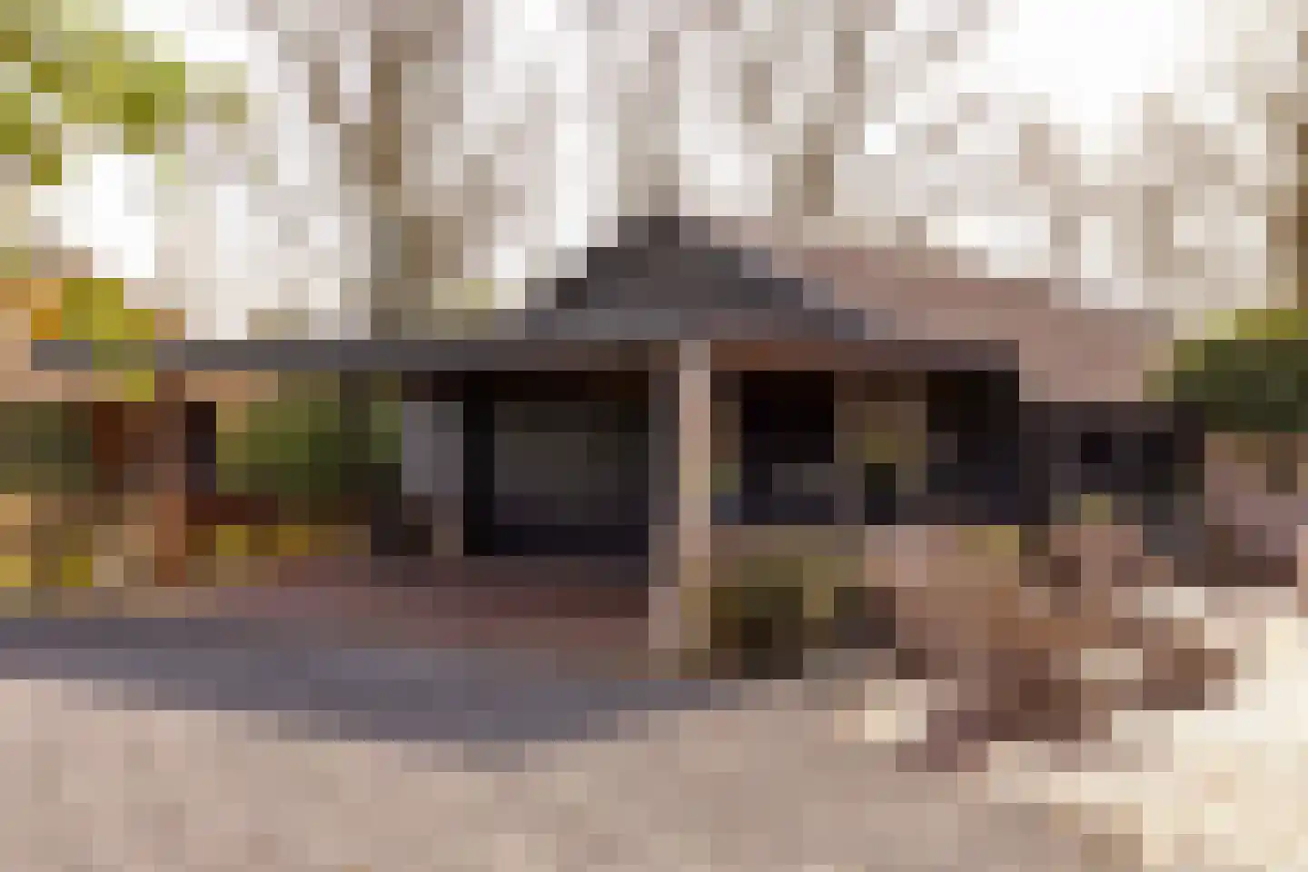 Beilerstraat 6 a Pesse thumbnail 61