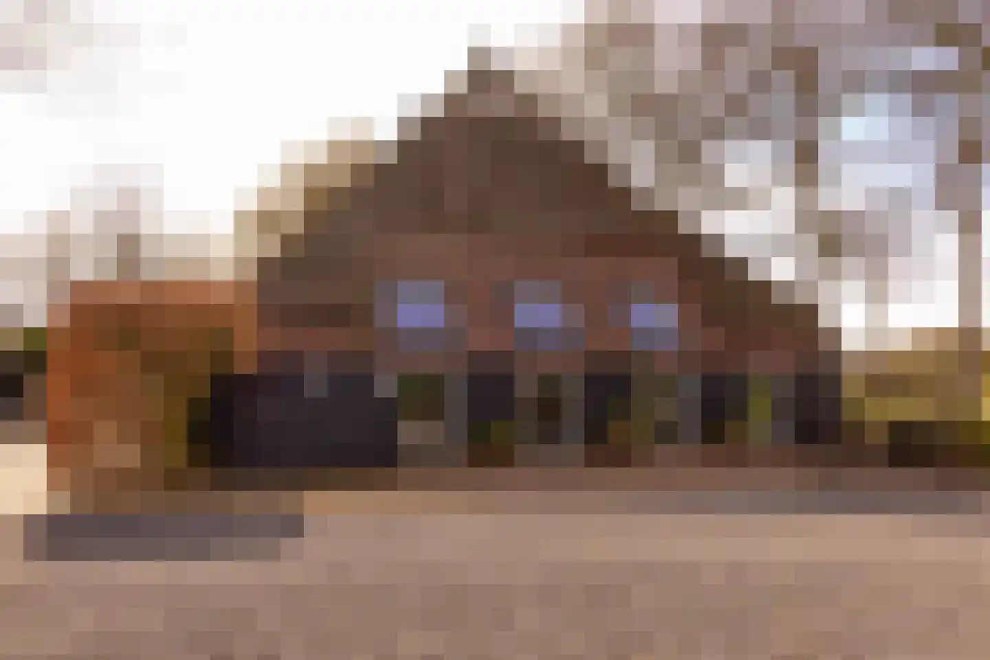 Beilerstraat 6 a Pesse thumbnail 69
