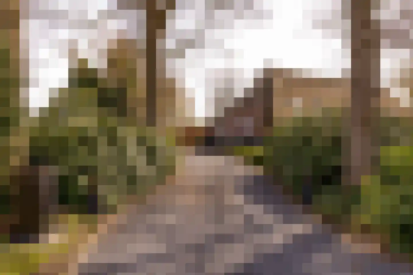 Beilerstraat 6 a Pesse thumbnail 70