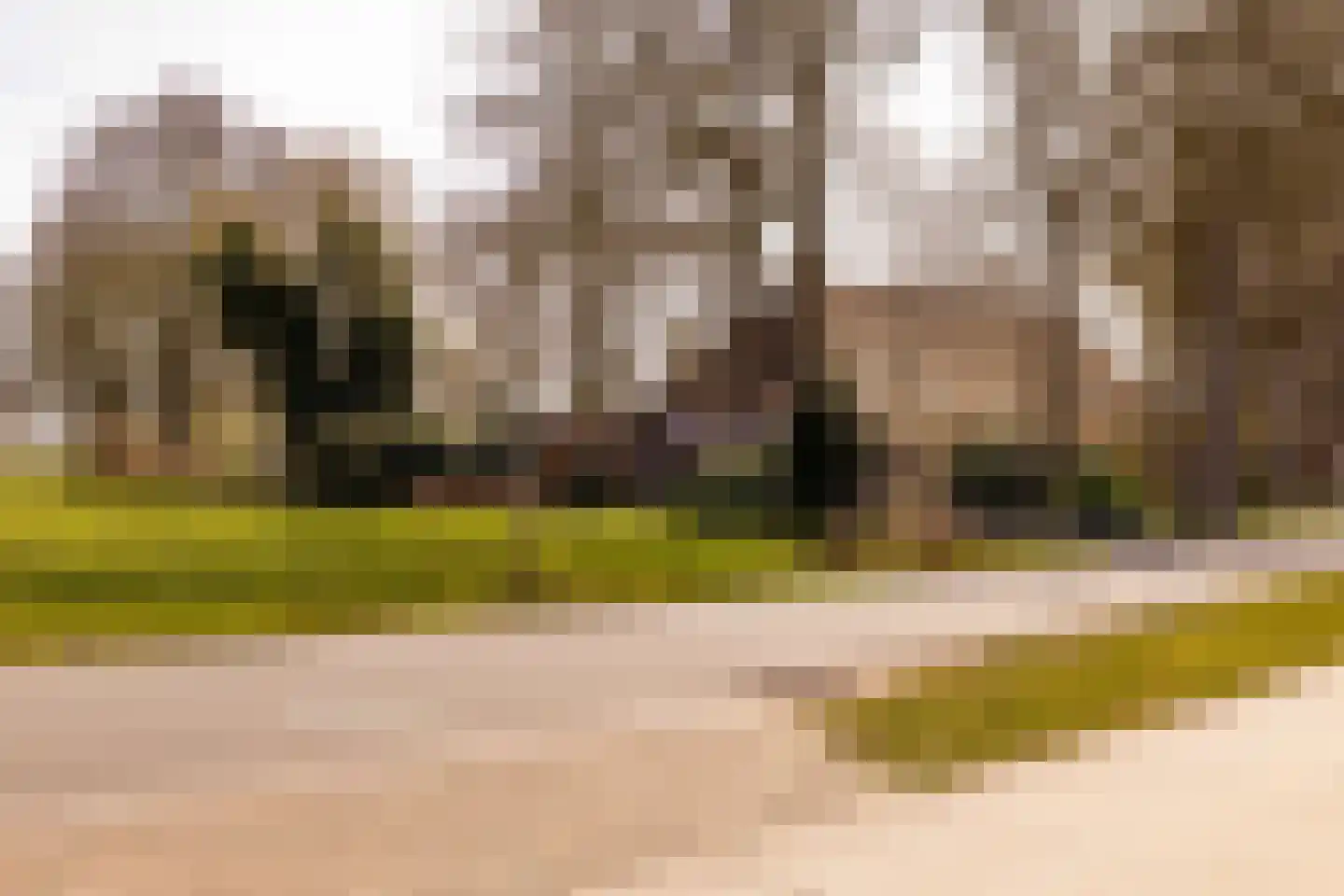 Beilerstraat 6 a Pesse thumbnail 72