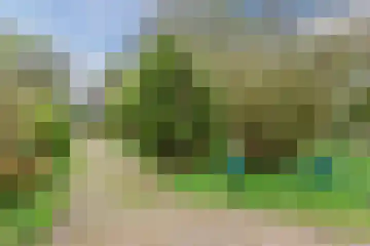 Beilervaart 63 Beilen thumbnail 43