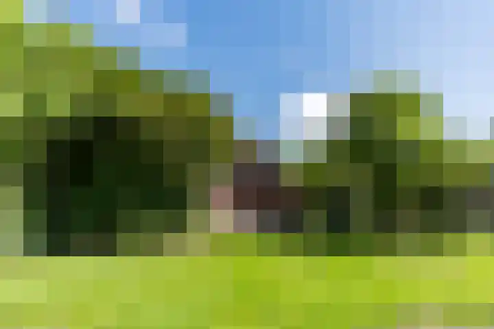 Beilervaart 75 Beilen thumbnail 41