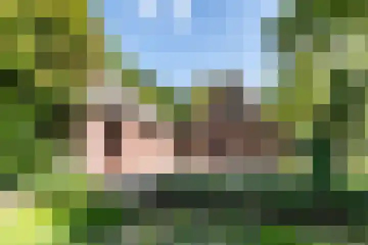 Beilervaart 75 Beilen thumbnail 42