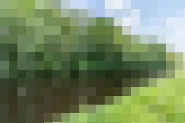 Beilervaart 75 Beilen thumbnail 46