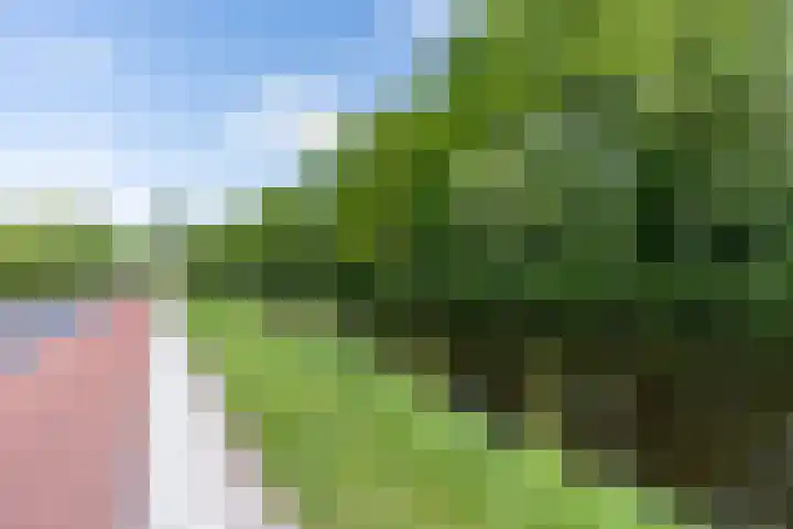 Beilervaart 75 Beilen thumbnail 47