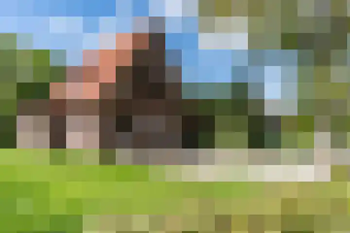 Beilervaart 75 Beilen thumbnail 52