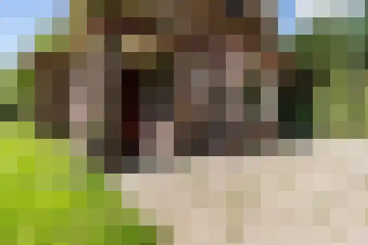 Beilervaart 75 Beilen thumbnail 6