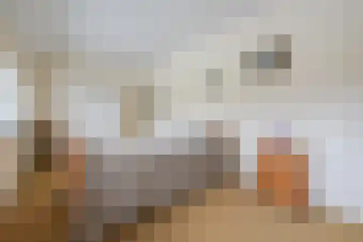 Beitelweg 20 Putten thumbnail 27