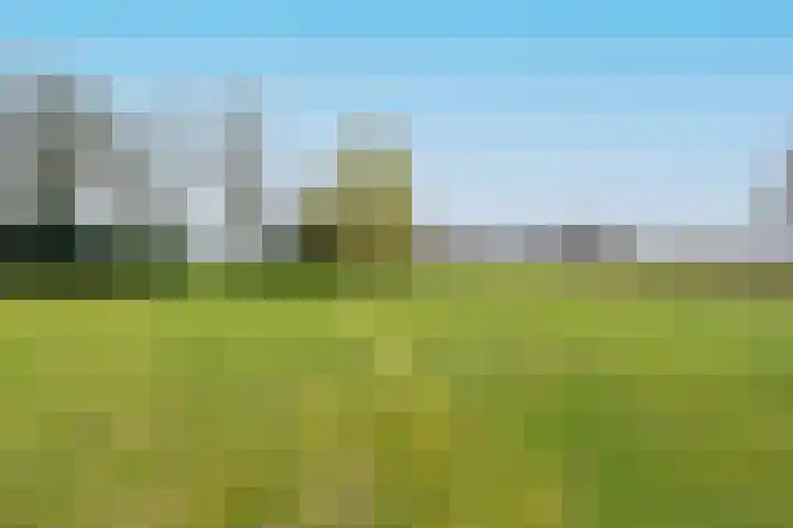 Beitelweg 20 Putten thumbnail 58
