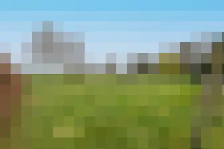 Beitelweg 20 Putten thumbnail 60