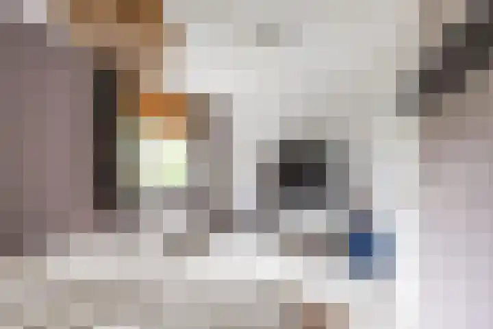 Bekemaheerd 17 Groningen thumbnail 25