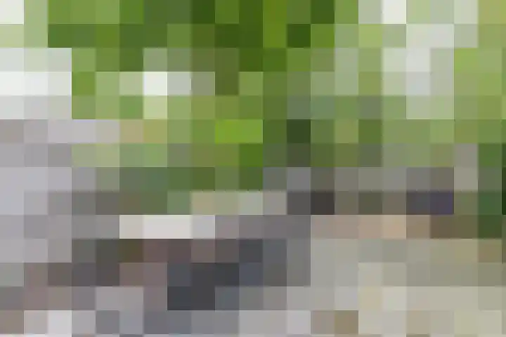 Bekemaheerd 17 Groningen thumbnail 32