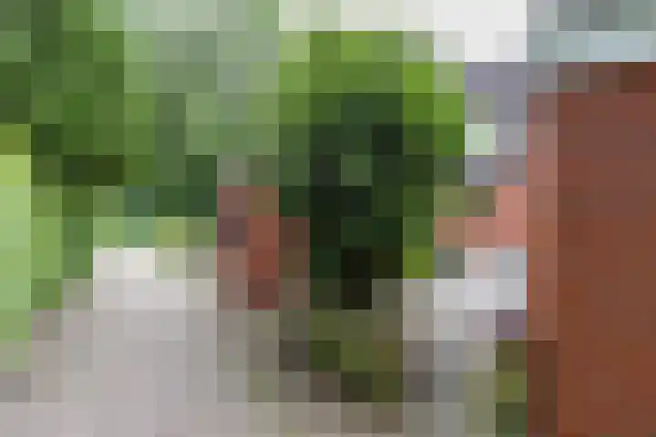 Bekemaheerd 17 Groningen thumbnail 33