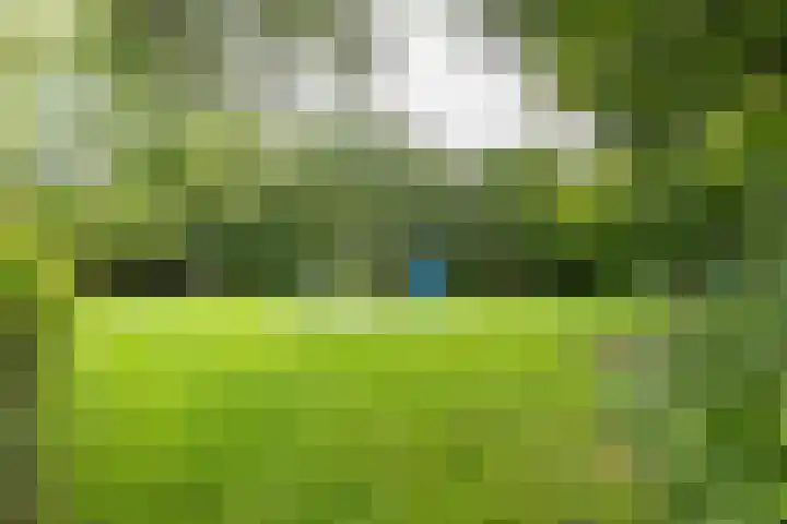 Bekemaheerd 17 Groningen thumbnail 34