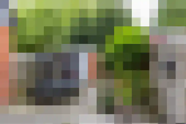 Bekemaheerd 17 Groningen thumbnail 5