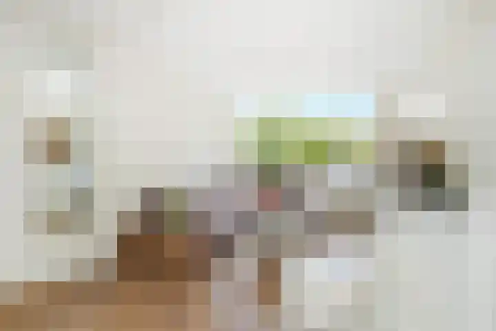 Bekemaheerd 17 Groningen thumbnail 6
