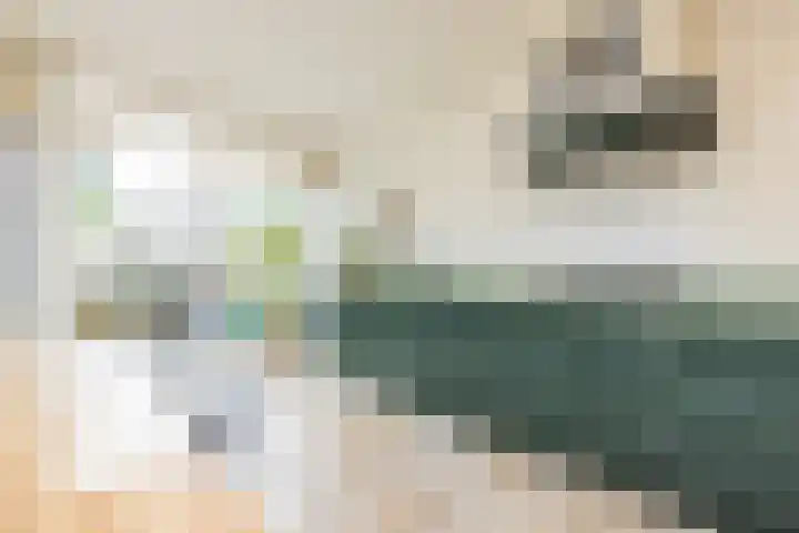 Bekerbaan 11 Schimmert thumbnail 10