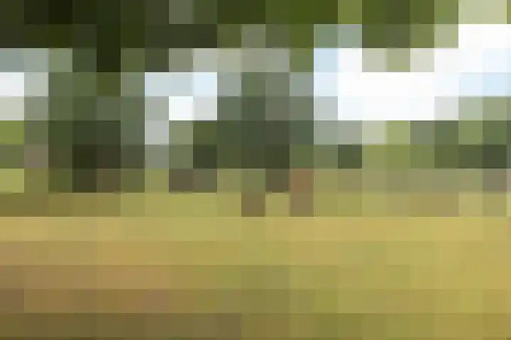 Bekerbaan 11 Schimmert thumbnail 28