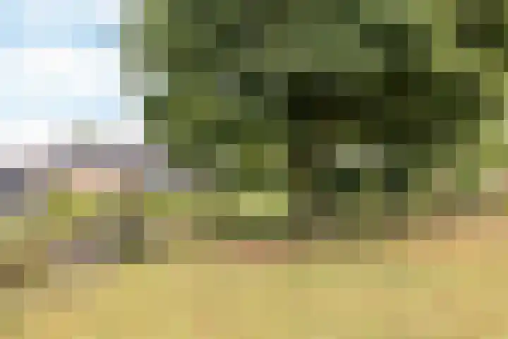 Bekerbaan 11 Schimmert thumbnail 30