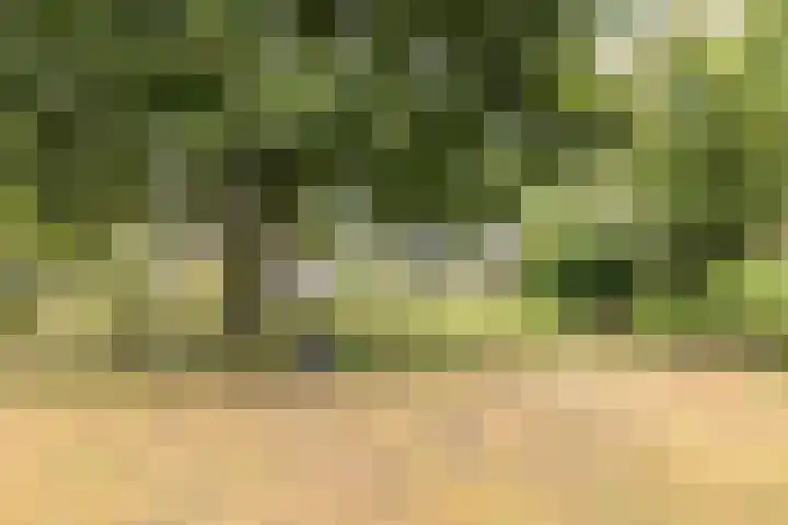 Bekerbaan 11 Schimmert thumbnail 31