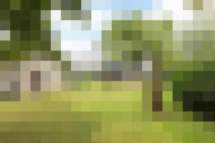 Bekerbaan 11 Schimmert thumbnail 32