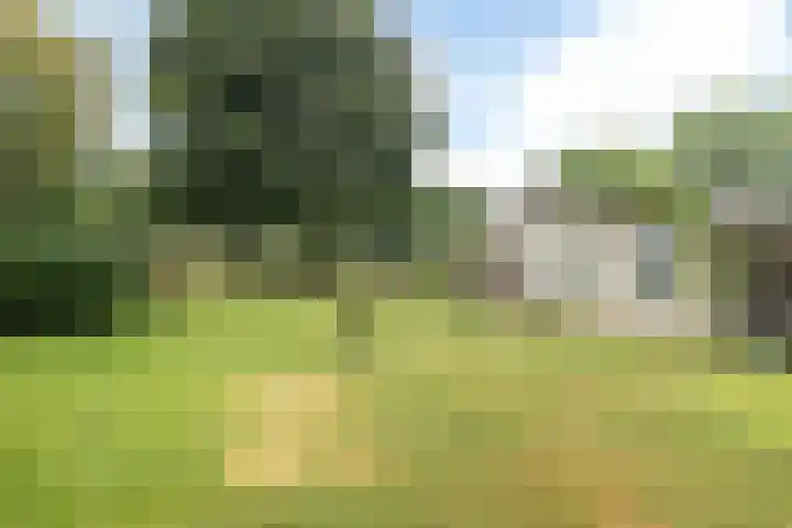 Bekerbaan 11 Schimmert thumbnail 36