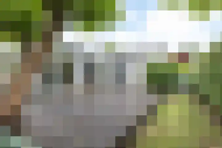 Bekerbaan 11 Schimmert thumbnail 37