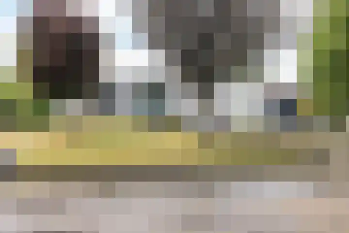 Bekerbaan 11 Schimmert thumbnail 40