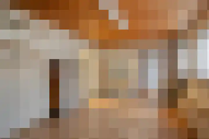 Team foto van Beks Makelaardij Harkstede