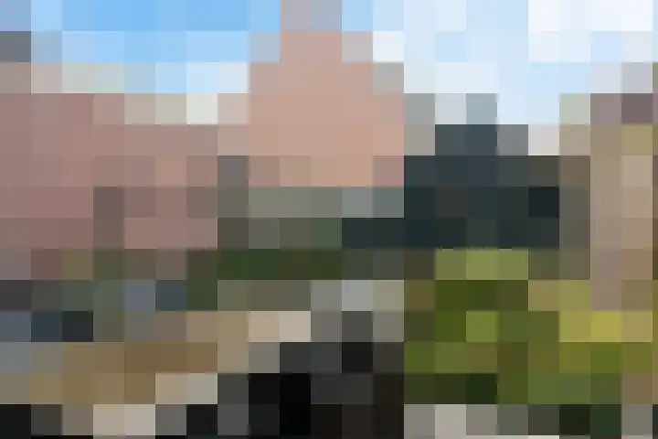 Bekspringhoek 126 Enschede thumbnail 29