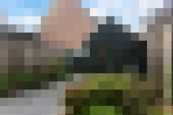 Bekspringhoek 126 Enschede thumbnail 31
