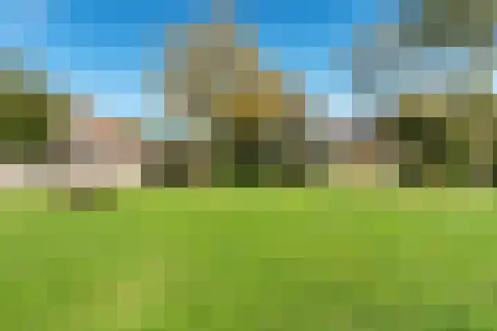 Bekspringhoek 126 Enschede thumbnail 33