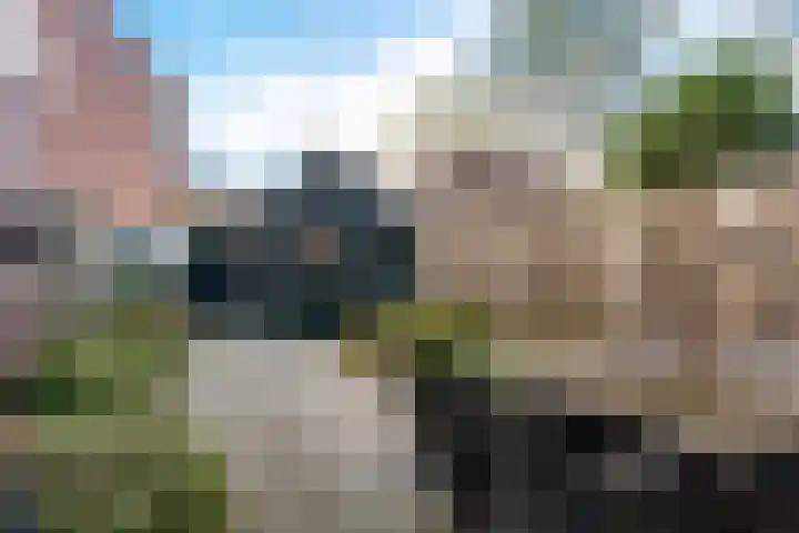Bekspringhoek 126 Enschede thumbnail 4