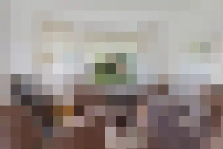 Bekspringhoek 126 Enschede thumbnail 6