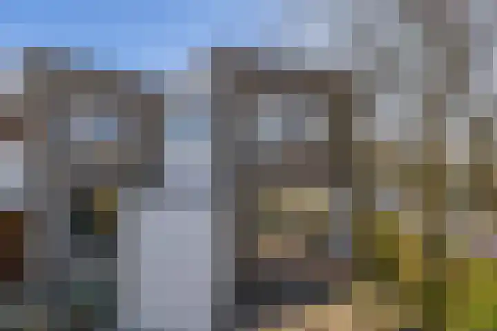 Team foto van Beleef Wonen met Jacqueline