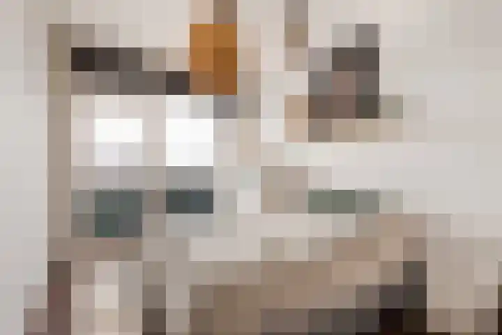 Belgiëlaan 40 Haarlem thumbnail 4