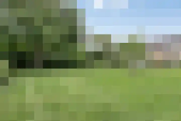 Belgiëstraat 46 IJsselstein thumbnail 31