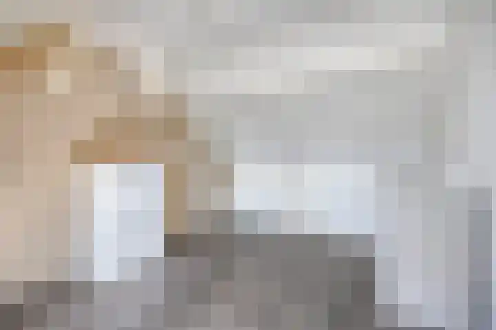 Bellefleur 111 Duiven thumbnail 42
