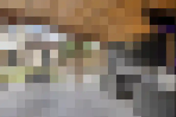 Bellefleur 111 Duiven thumbnail 52