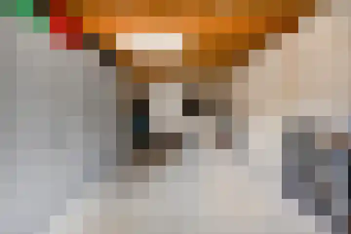 Bellefleur 111 Duiven thumbnail 57