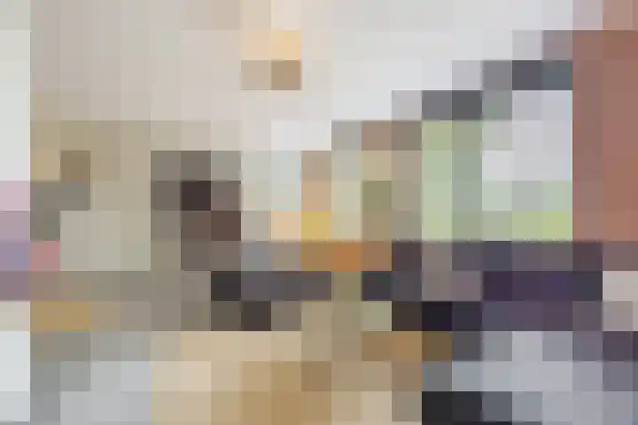 Bellefleur 26 Uden thumbnail 11