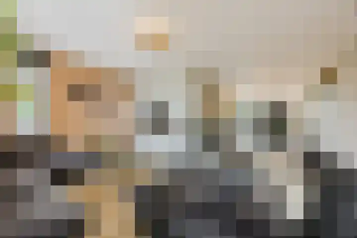 Bellefleur 26 Uden thumbnail 12